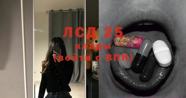 амф Горняк