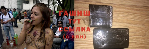амф Горняк