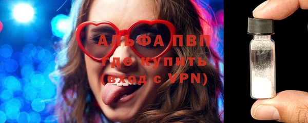 амф Горняк