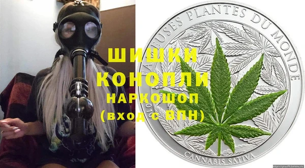 амф Горняк