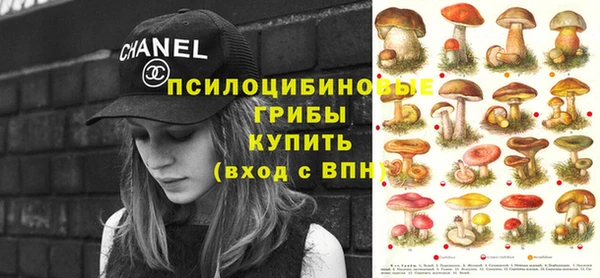 хмурый Дмитриев