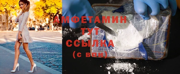 амф Горняк