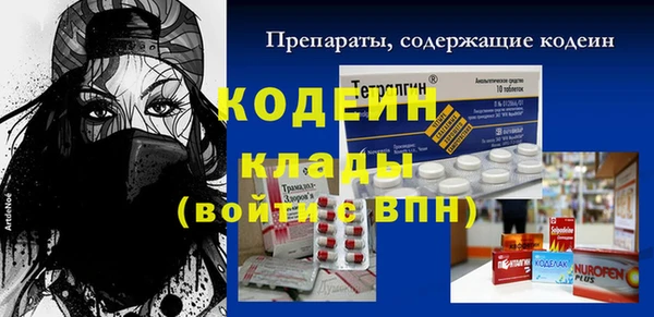 хмурый Дмитриев