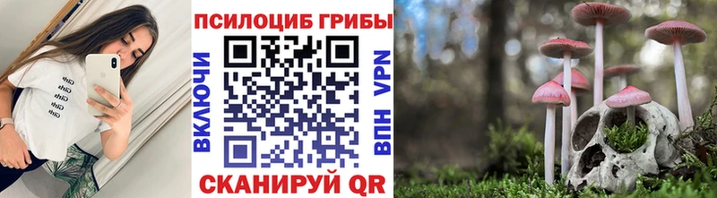 Купить  Ливны  Псилоцибиновые грибы ЛСД 